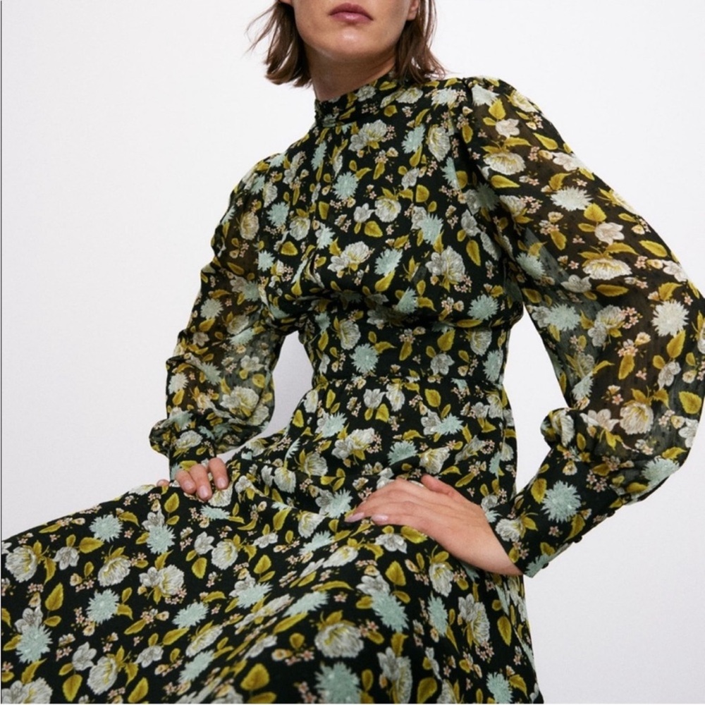 ZARA | Black Floral Sheer Fall Maxi Dress